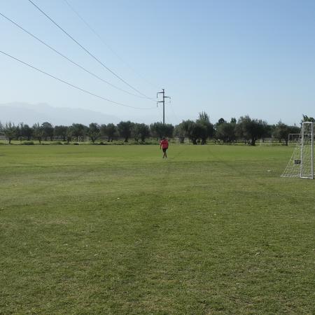 Ver imagen más grande