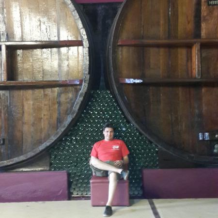 Ver imagen más grande