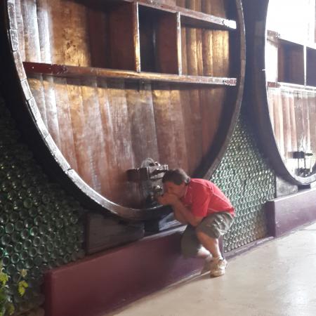 Ver imagen más grande