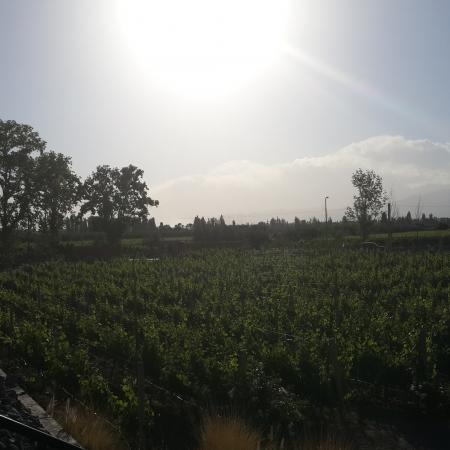 Ver imagen más grande