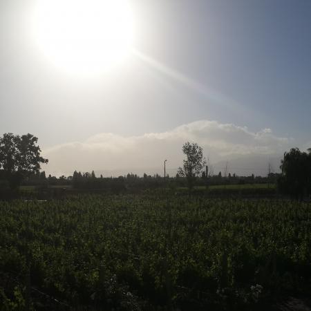 Ver imagen más grande