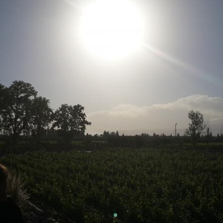 Ver imagen más grande