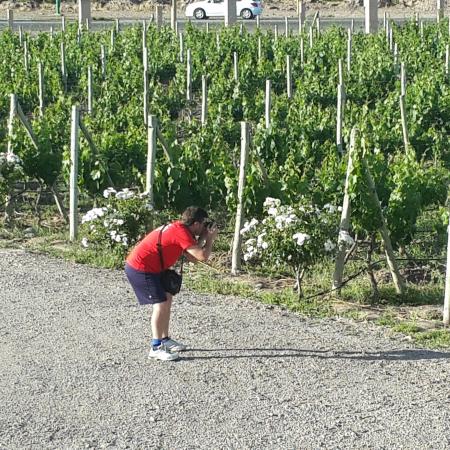 Ver imagen más grande