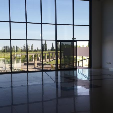 Ver imagen más grande