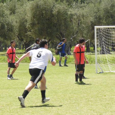 Ver imagen más grande