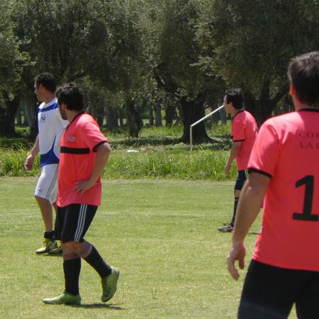 Ver imagen más grande