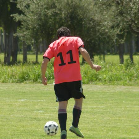 Ver imagen más grande