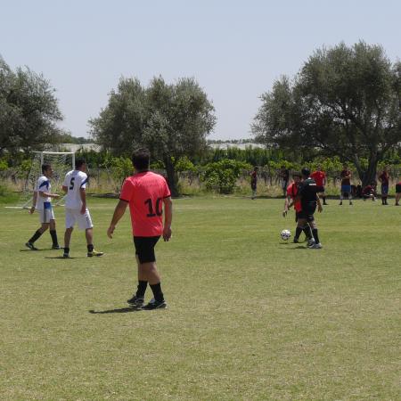 Ver imagen más grande