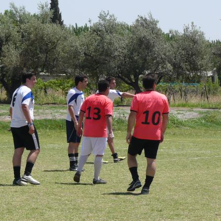 Ver imagen más grande