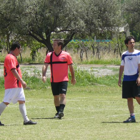 Ver imagen más grande