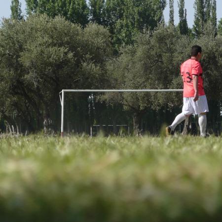 Ver imagen más grande