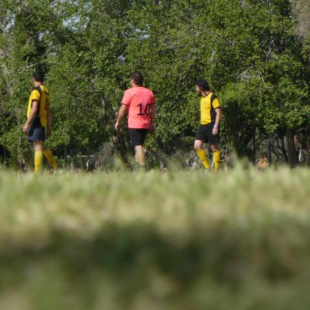 Ver imagen más grande