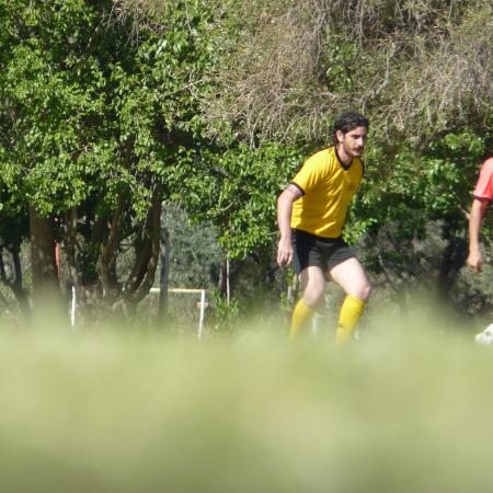 Ver imagen más grande