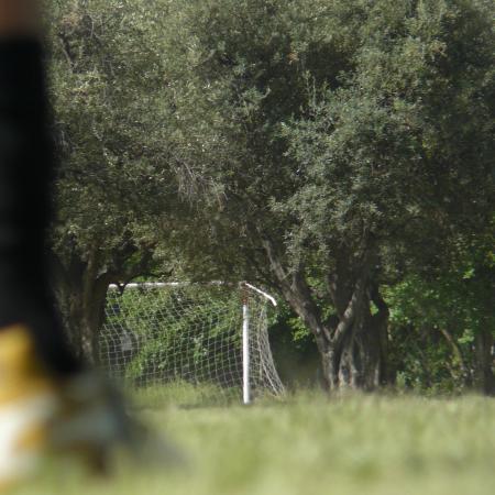 Ver imagen más grande