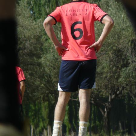 Ver imagen más grande