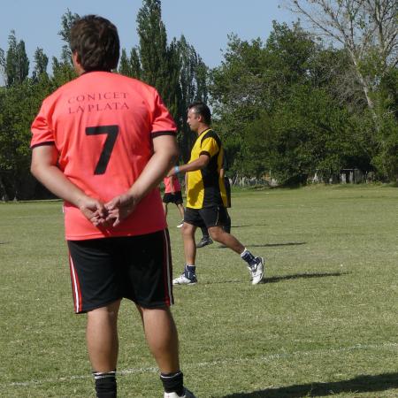 Ver imagen más grande