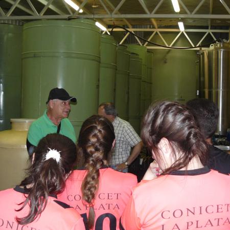 Ver imagen más grande