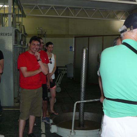 Ver imagen más grande