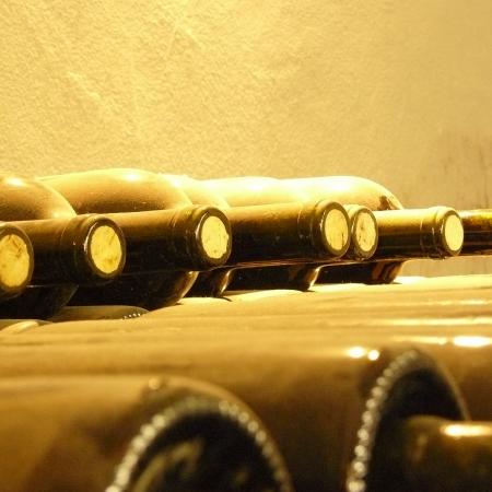 Ver imagen más grande