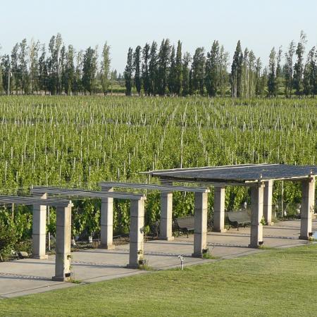 Ver imagen más grande