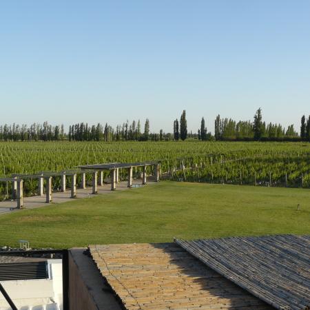 Ver imagen más grande